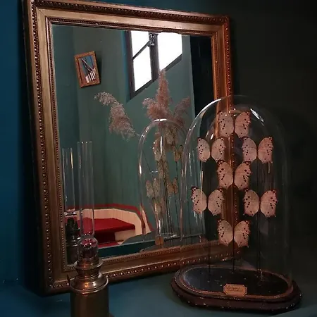 Hotell De L'amphitheatre